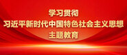 免费看日逼视频学习贯彻习近平新时代中国特色社会主义思想主题教育_fororder_ad-371X160(2)